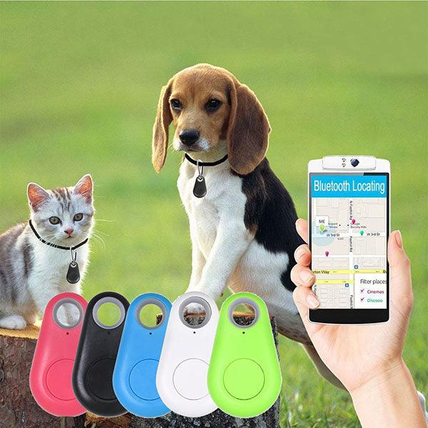 Localisateur de Clés Alarme Mini Traceur Bluetooth pour Chats Chiens Animal  Portefeuilles avec Système de Suivi Anti-Perte Localisateurs d'Objets Key